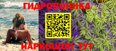 ГАЛЛЮЦИНОГЕННЫЕ ГРИБЫ Малгобек